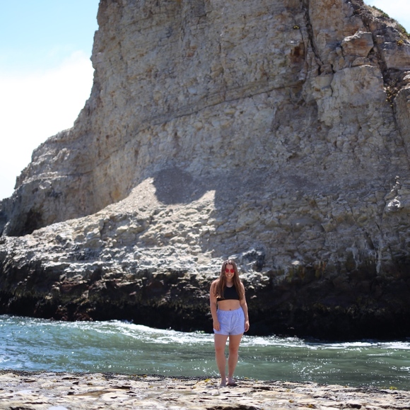 Meet your Posher, Monty - Picture 1 of 1